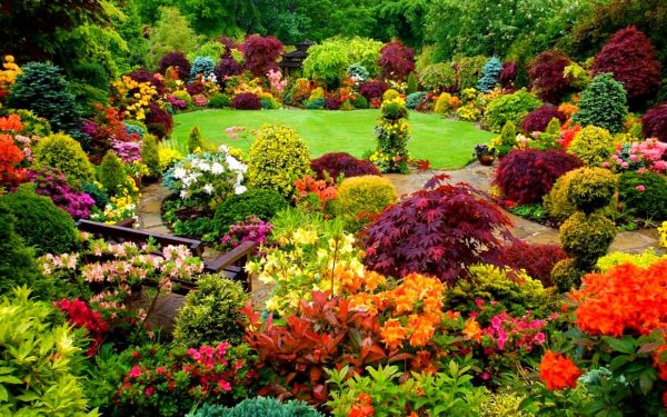 Fall Garden Colorful Blog Post