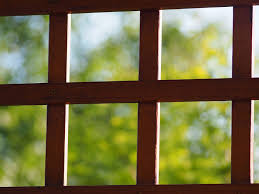 Garden Window Blog Post