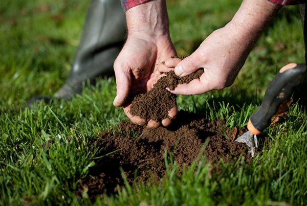 Soil Test Blog Post