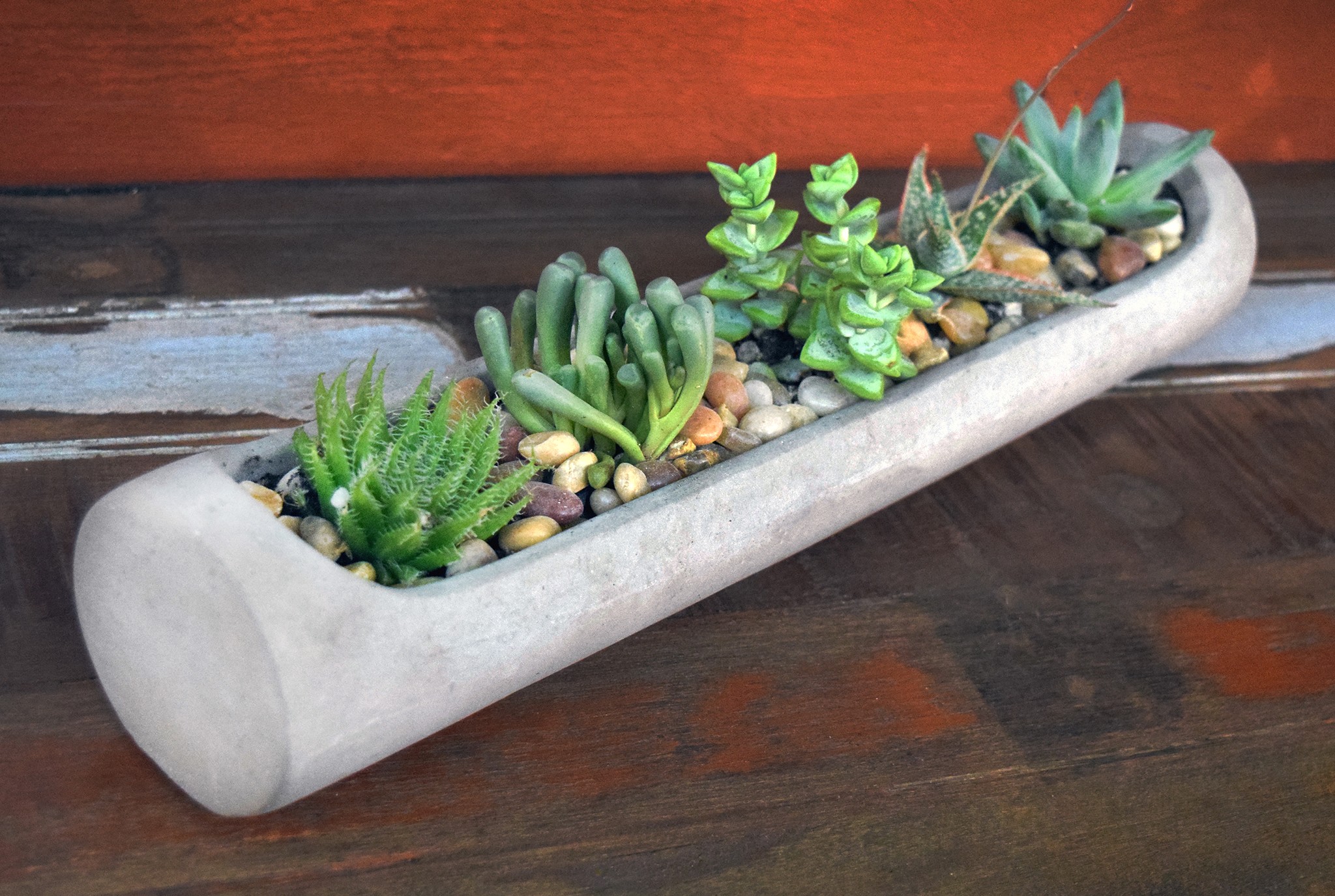 Succulent Cement Planter Workshop