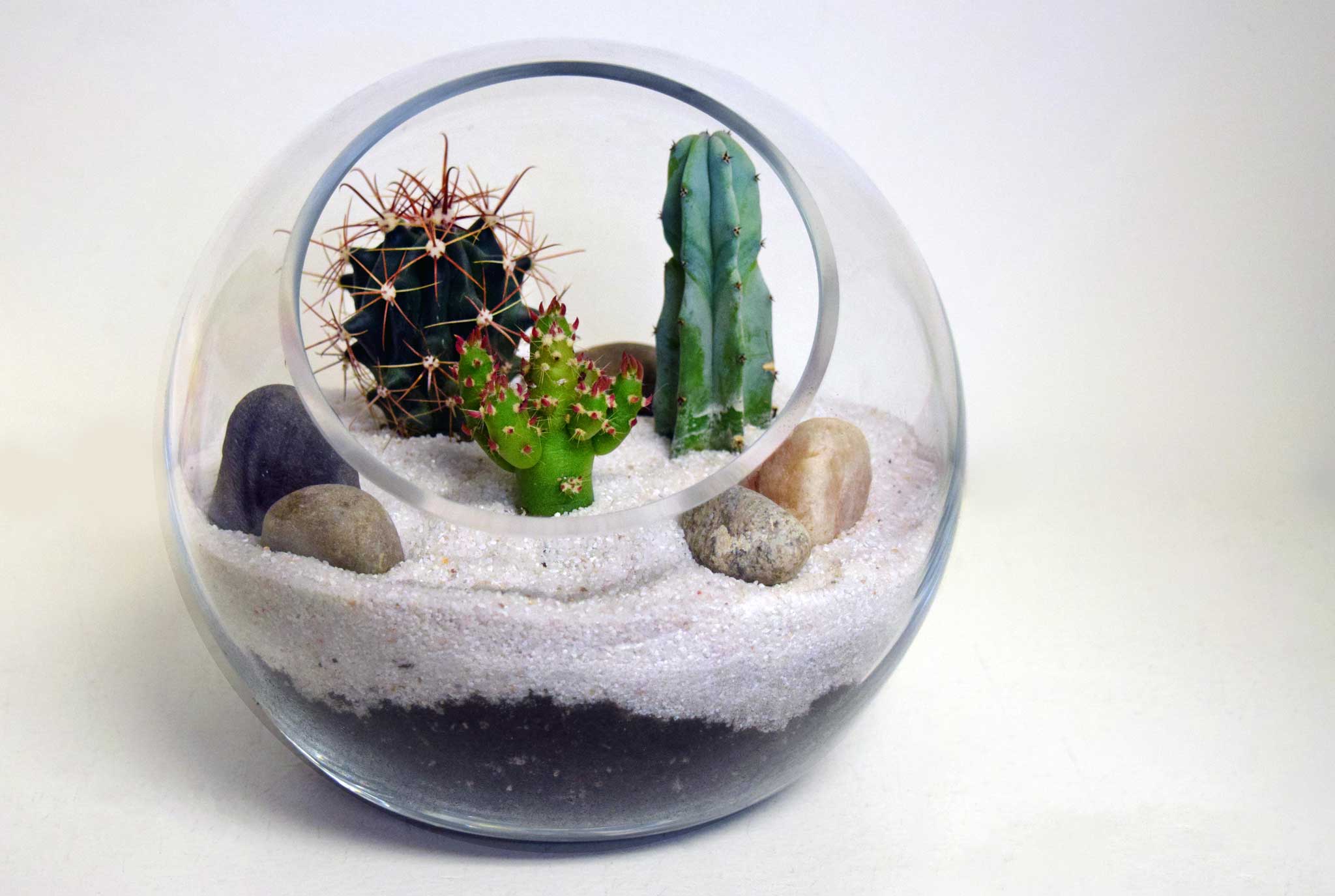 Desert Terrarium Workshop