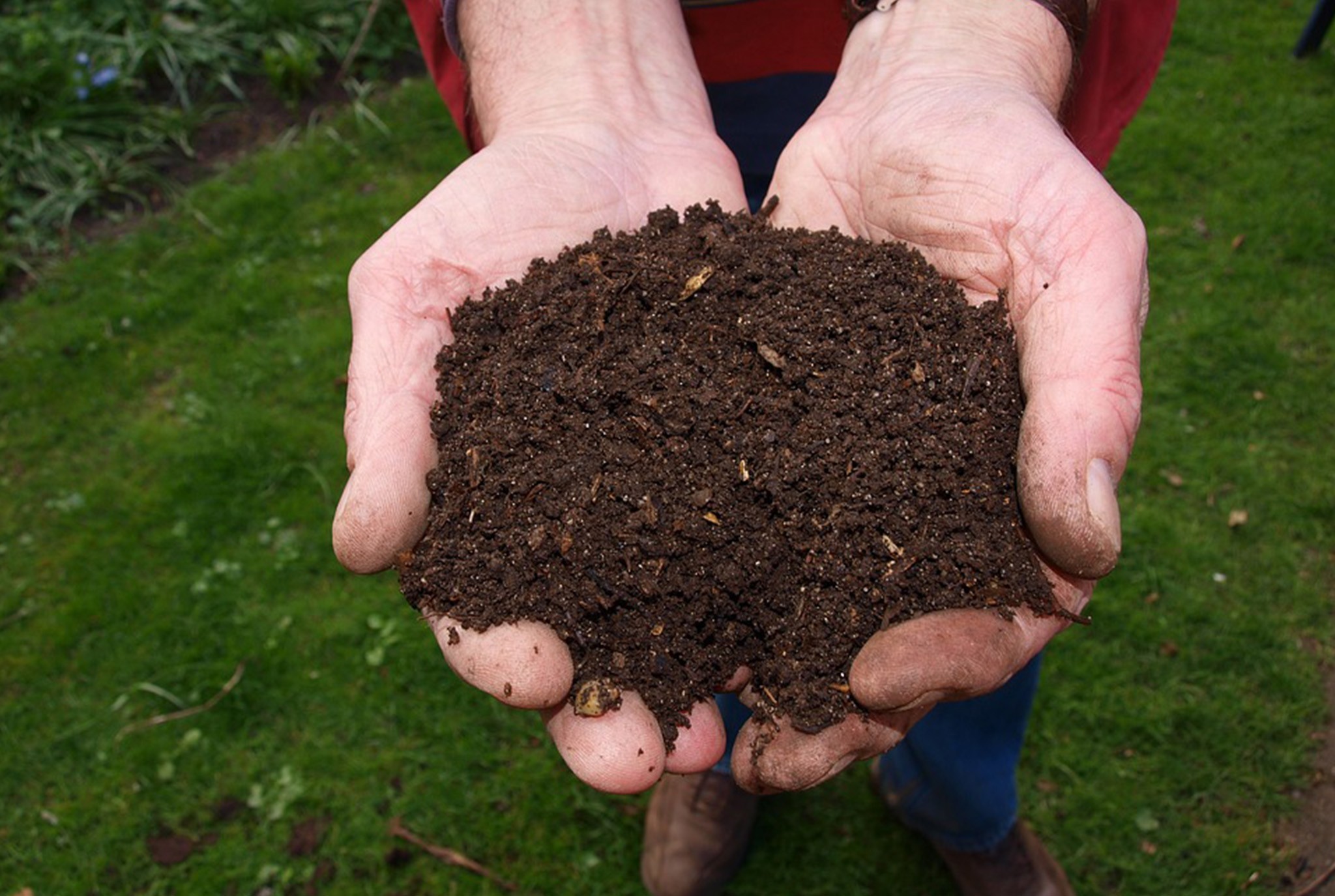 Secrets of Soil Blog Post