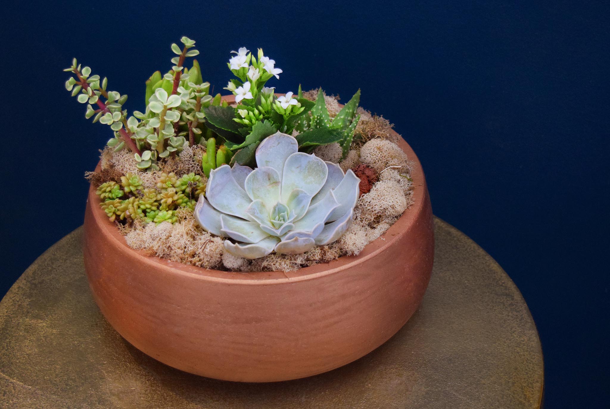 Succulent Oil Diffuser Workshop