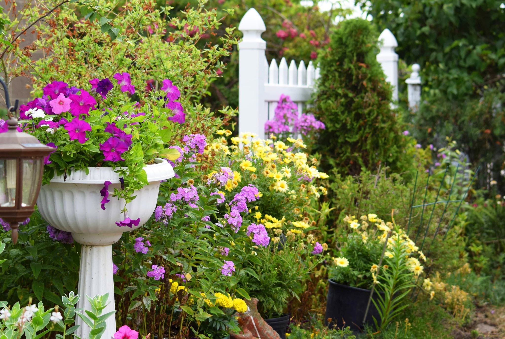 Gardening By The Yard Paul James