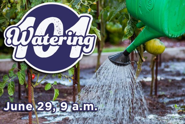 Watering 101 on June 29 at 9 am at Southwood