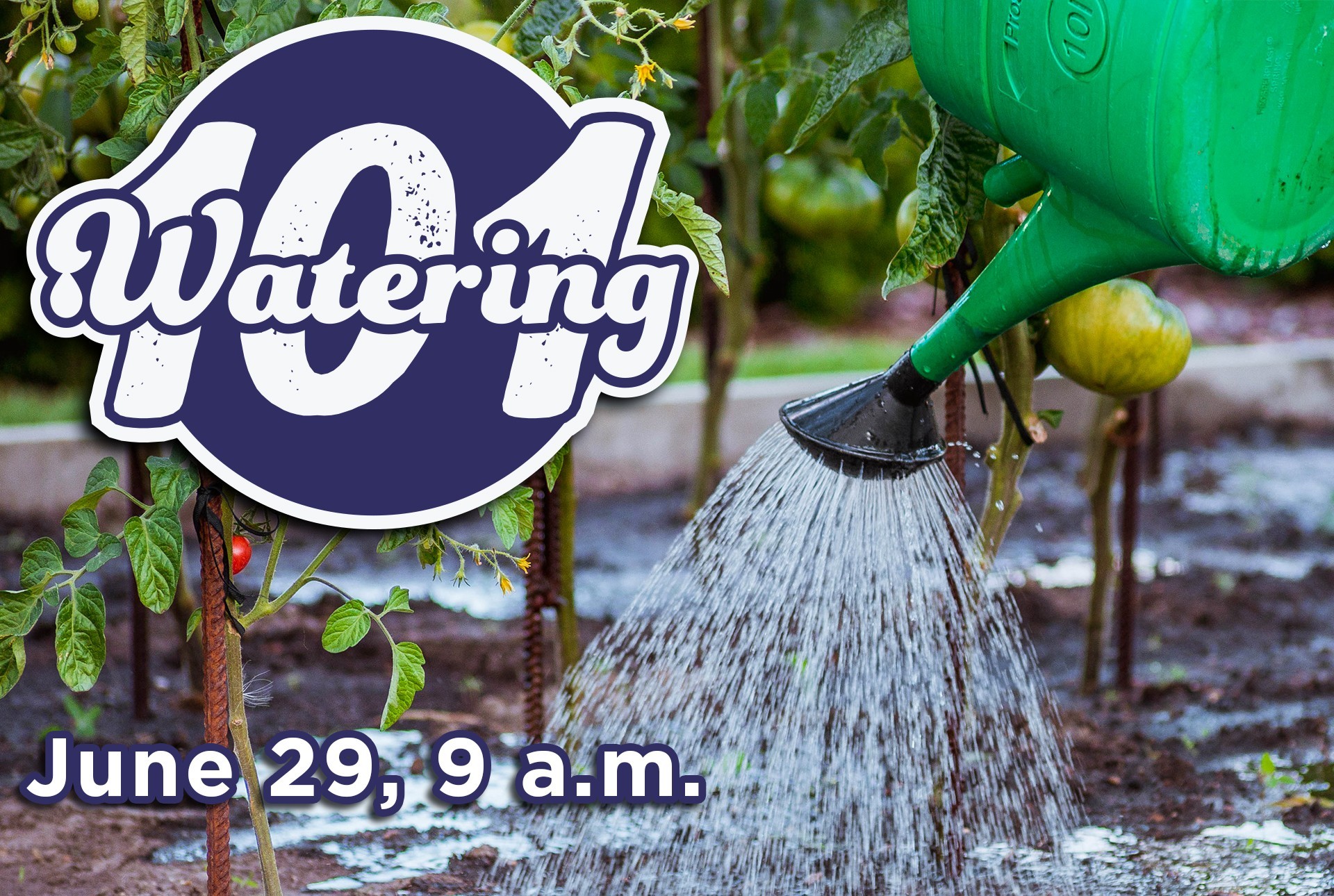 Watering 101 on June 29 at 9 am at Southwood