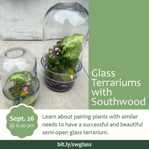 Glass Terrariums with Southwood Home and Garden on Thursday, September 26, from 6:30 to 8 pm