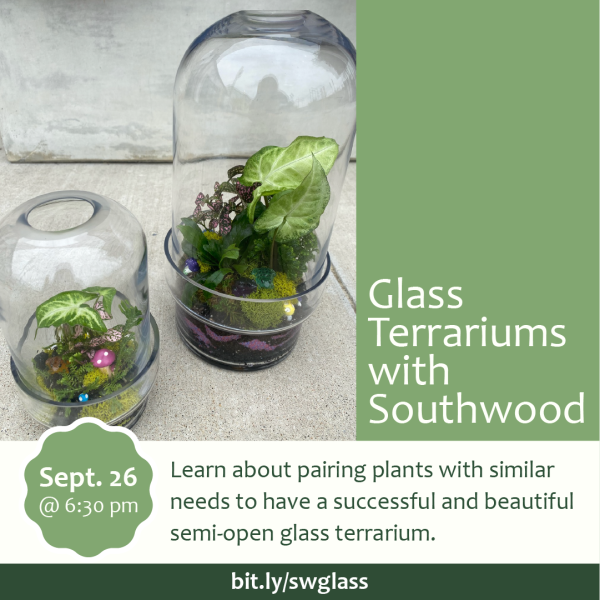 Glass Terrariums with Southwood Home and Garden on Thursday, September 26, from 6:30 to 8 pm