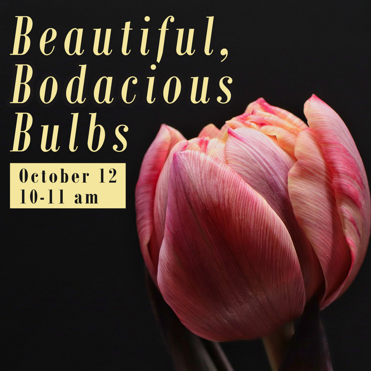 Beautiful Bodacious Bulbs featuring Paul James and Jenn Smith Saturday October 12, 10 to 11 a.m.