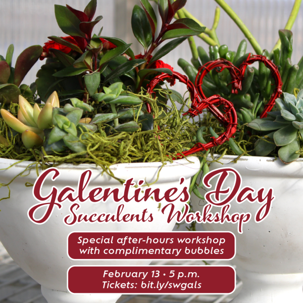 Galentine's Day Succulents Workshop at Southwood on February 13 at 5 p.m.