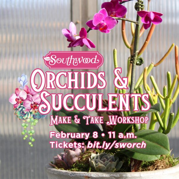 Orchids & Succulents Workshop at Southwood on February 8 at 11 a.m.