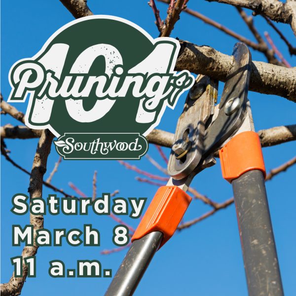 Pruning 101 seminar at Southwood. Saturday March 8 at 11 a.m.