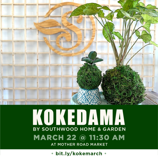Kokedama with Southwood Home & Garden at the Mother Road Market Demonstration Kitchen on Saturday, March 22 at 11:30 a.m.