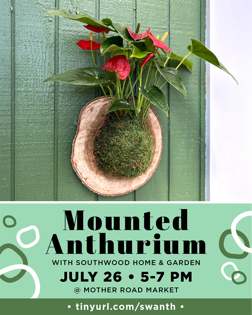 Mounted Anthurium workshop with Southwood Home and Garden at Mother Road Market Demonstration Kitchen. July 26 from 5 to 7 p.m.