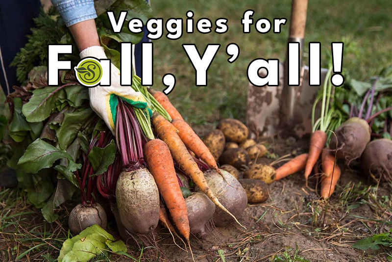Veggies for Fall, Y'all banner image, blog written by Paul James
