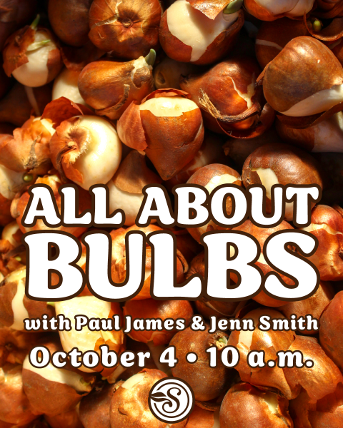 All About Bulbs with Paul James and Jenn Smith. October 4 at 10 a.m. at Southwood Landscape and Garden Center