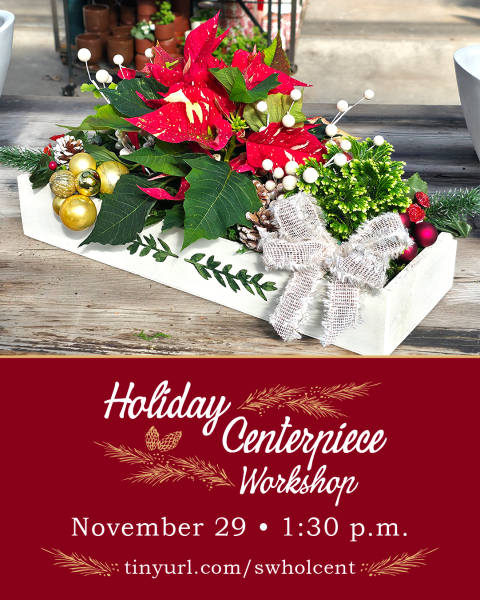 Holiday Centerpiece Workshop at Southwood Landscape and Garden Center. November 29 at 1:30 p.m.