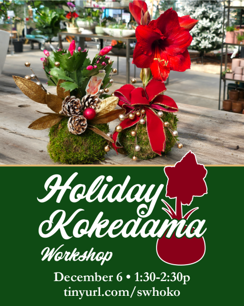 Holiday Kokedama Workshop at Southwood Landscape and Garden Center. December 6 from 1:30 to 2:30 p.m.