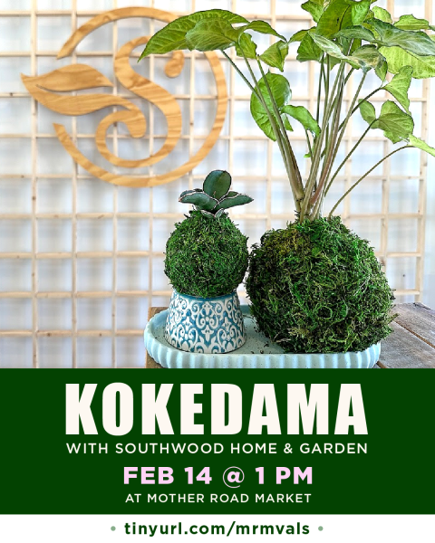 Kokedama with Southwood Home & Garden Valentine's Day February 14 2026 in the Demonstration Kitchen at Mother Road Market