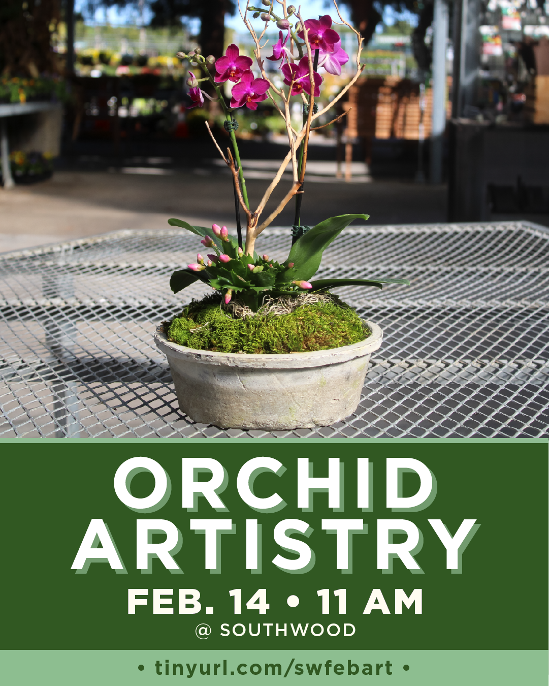 Orchid Artistry February 14 Valentine's Day at Southwood Landscape and Garden Center 2026 at 11 a.m.