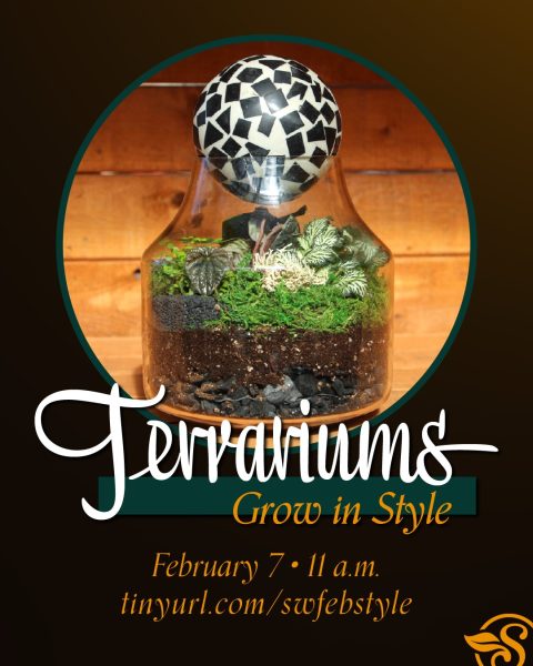 Terrariums Grow in Style background image. February 7 at 11 a.m. at Southwood Landscape and Garden Center