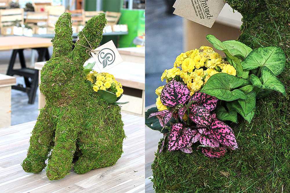Moss Bunny Workshop at Southwood Landscape and Garden Center Saturday, February 28, at 11 a.m.