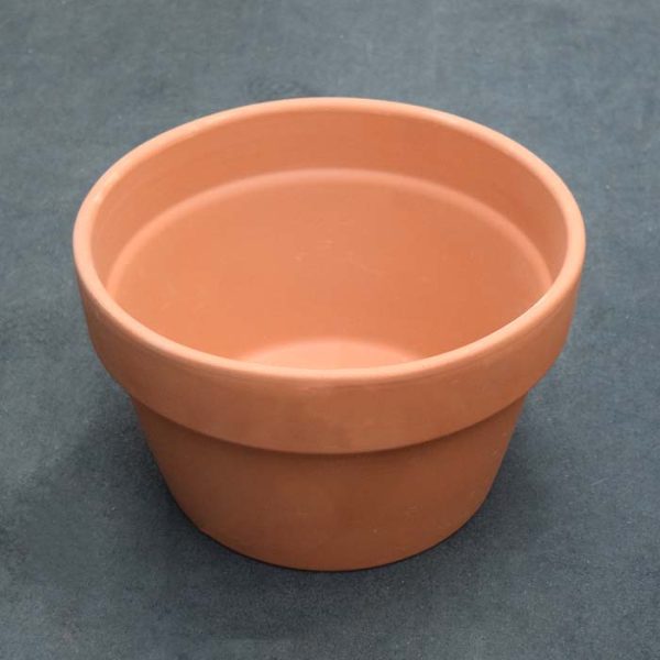 Terracotta Azalea Pot 6"H
