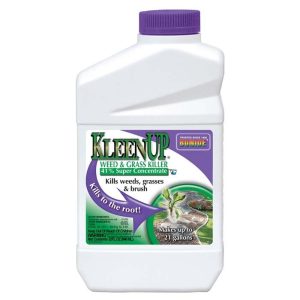 Bnde Kleenup 32oz Conc