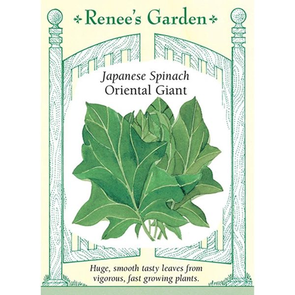 Seed Pack Renee's Garden Spinach Oriental Giant