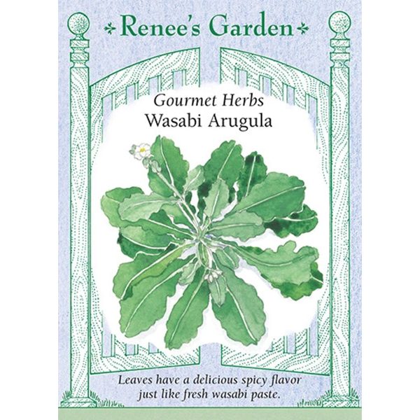 Seed Pack Renee's Garden Arugula Wasabi