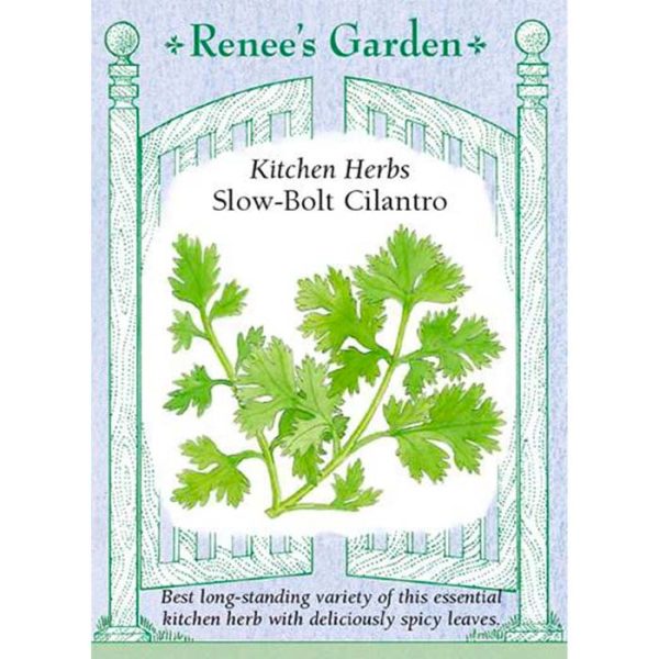 Seed Pack Renee's Garden Cilantro Slow-Bolt