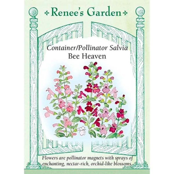 Seed Pack Renee's Garden Salvia Bee Heaven
