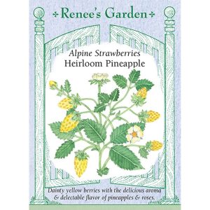 Seed Pack Renee's Garden Strawberry Alpine Pineapple