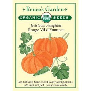 Seed Pack Renee's Garden Pumpkin Rouge Vif D'Etampes Organic