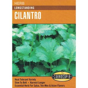 Seed Pack Cornucopia Cilantro Longstanding