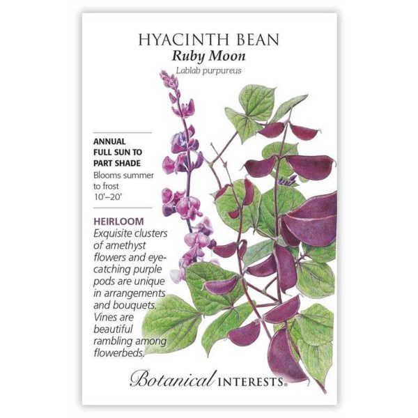 Seed Pack Botanical Interests Hyacinth Bean Ruby Moon