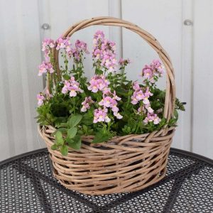 Plum Pudding Combo Medium Wicker Basket