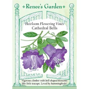 Seed Pack Renee's Garden Cathedral Bells Vine