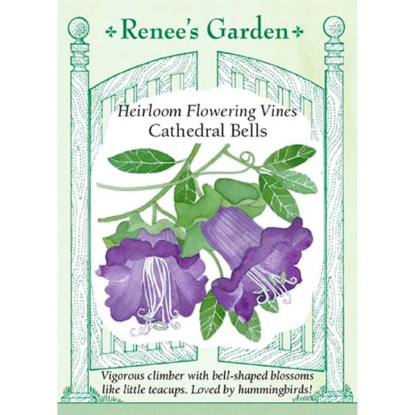 Seed Pack Renee's Garden Cathedral Bells Vine