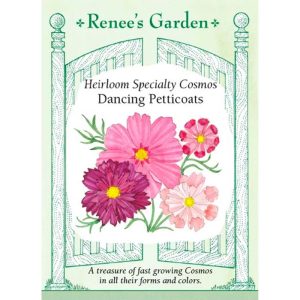 Seed Pack Renee's Garden Cosmos Dancing Petticoats