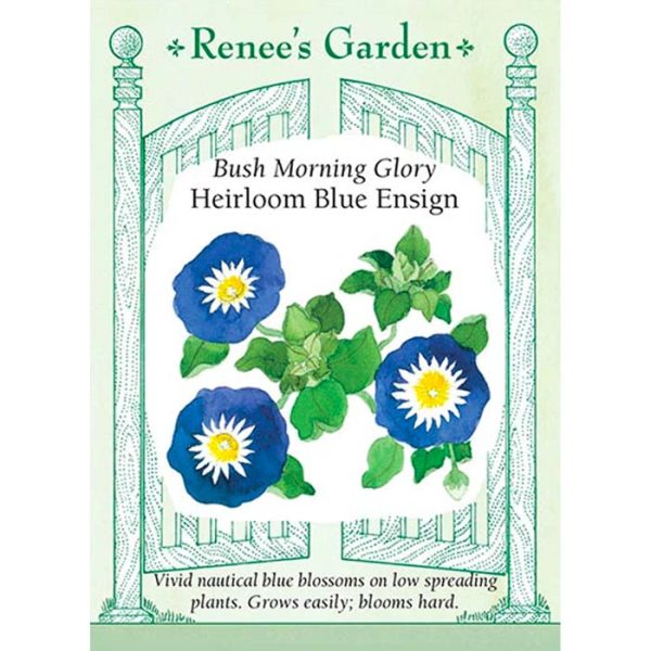 Seed Pack Renee's Garden Morning Glory Bush Blue Ensign