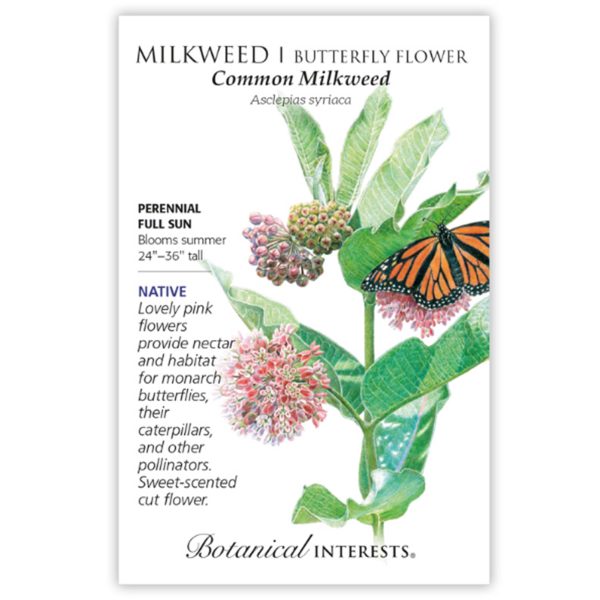 Seed Pack Botanical Interests Milkweed Common