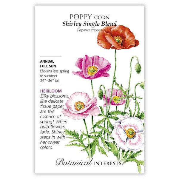 Seed Pack Botanical Interests Poppy Corn Shirley Single Blend