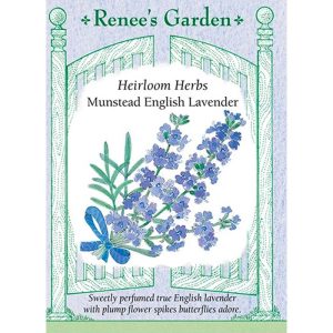 Seed Pack Renee's Garden Lavender Munstead English