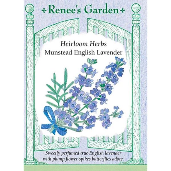 Seed Pack Renee's Garden Lavender Munstead English