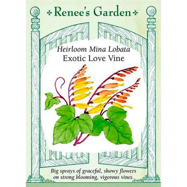 Seed Pack Renee's Garden Mina Lobata Exotic Love Vine