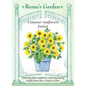 Seed Pack Renee's Garden Sunflower Container Junior