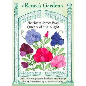Seed Pack Renee's Garden Sweet Pea Queen Of The Night