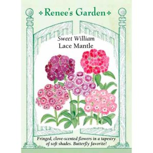 Seed Pack Renee's Garden Sweet William Lace Mantle
