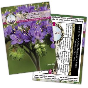 Seed Packet Native Amercian Seed Co - Blue Curls